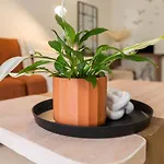 Apartament La Petite Fleur Chania Chania (Crete)