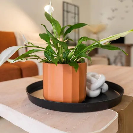 Apartment La Petite Fleur Chania Chania (Crete)