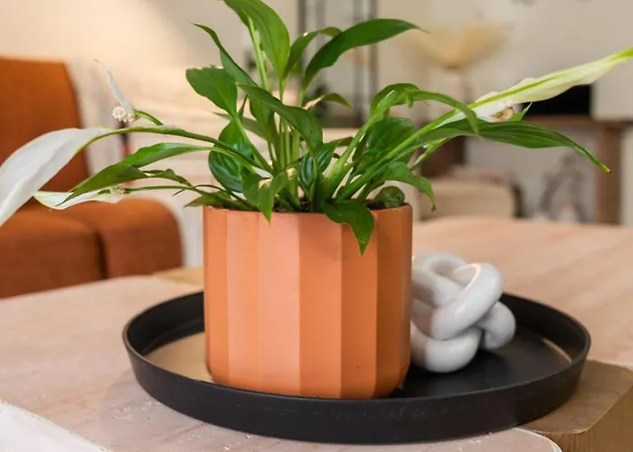 شقة La Petite Fleur Chania خانيا